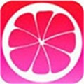蜜柚app官网下载