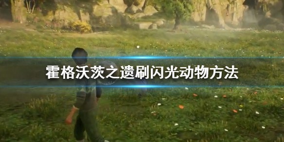 霍格沃茨之遗闪光动物如何刷_霍格沃茨之遗闪光动物获取攻略一览